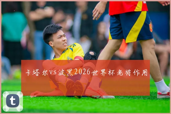 卡塔尔vs波黑2026世界杯老将作用