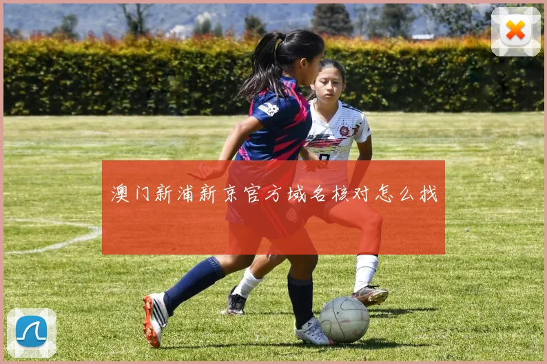 澳门新浦新京官方域名核对怎么找
