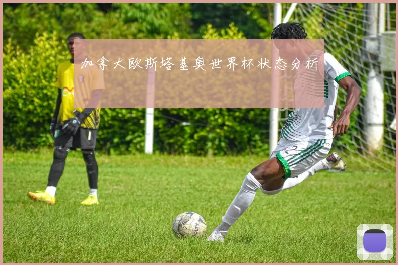 加拿大欧斯塔基奥世界杯状态分析