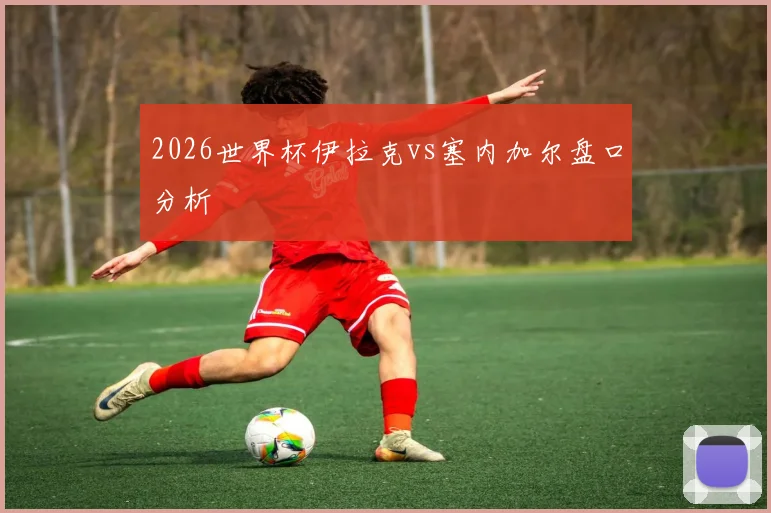 2026世界杯伊拉克vs塞内加尔盘口分析