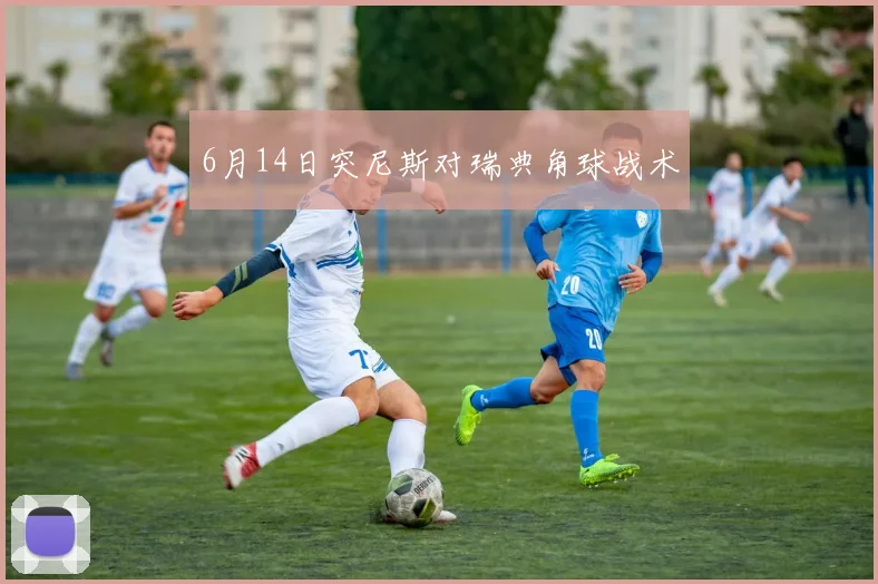 6月14日突尼斯对瑞典角球战术