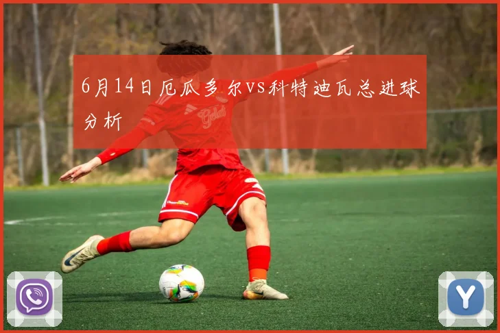 6月14日厄瓜多尔vs科特迪瓦总进球分析