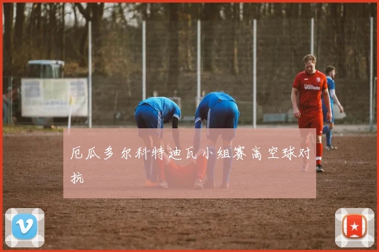 厄瓜多尔科特迪瓦小组赛高空球对抗