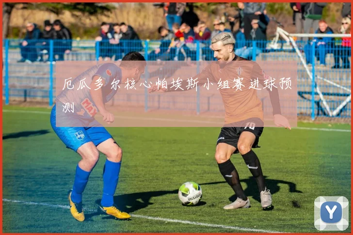 厄瓜多尔核心帕埃斯小组赛进球预测