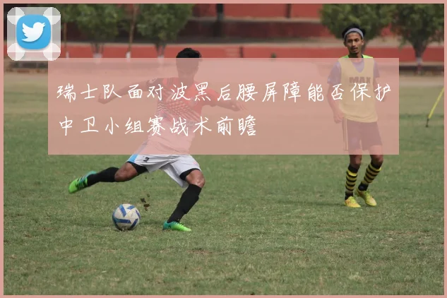 瑞士队面对波黑后腰屏障能否保护中卫小组赛战术前瞻
